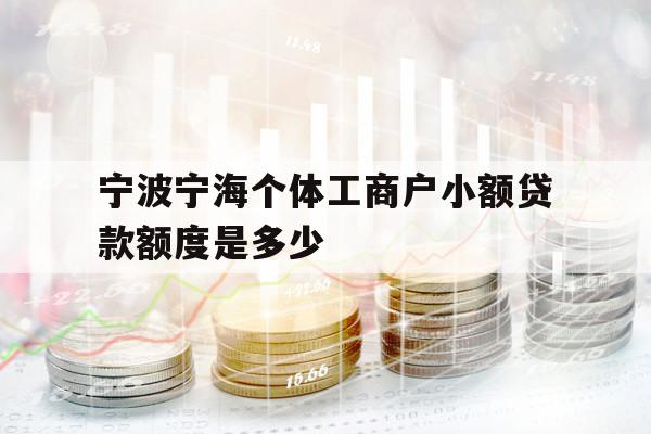 宁波宁海个体工商户小额贷款额度是多少