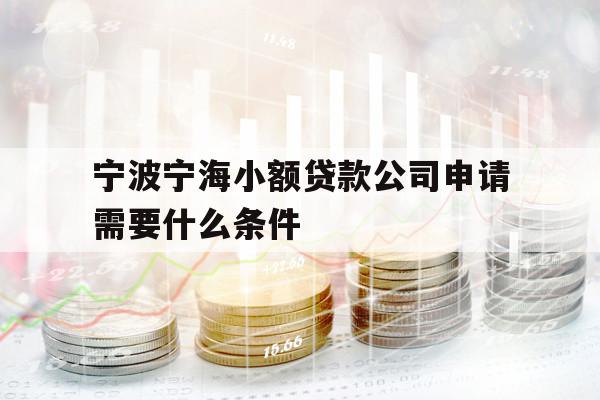 宁波宁海小额贷款公司申请需要什么条件