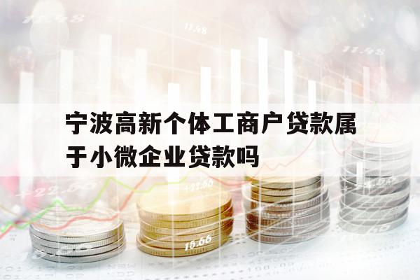 宁波高新个体工商户贷款属于小微企业贷款吗