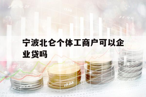 宁波北仑个体工商户可以企业贷吗
