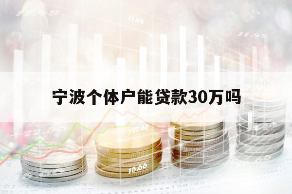 宁波个体户能贷款30万吗