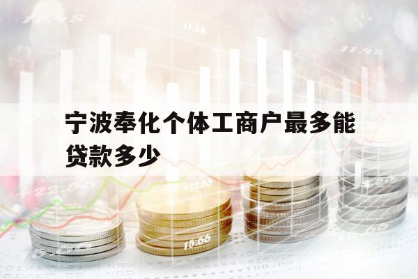 宁波奉化个体工商户最多能贷款多少
