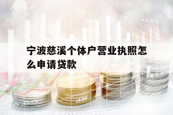 宁波慈溪个体户营业执照怎么申请贷款