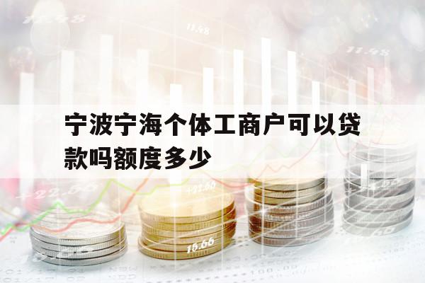 宁波宁海个体工商户可以贷款吗额度多少