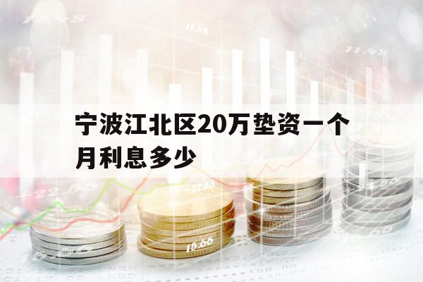 宁波江北区20万垫资一个月利息多少