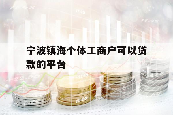 宁波镇海个体工商户可以贷款的平台
