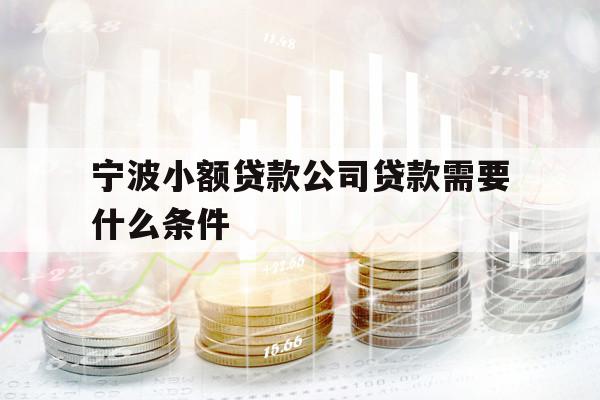 宁波小额贷款公司贷款需要什么条件
