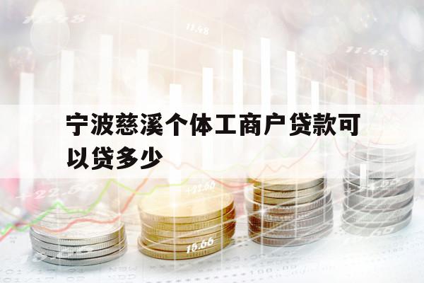 宁波慈溪个体工商户贷款可以贷多少