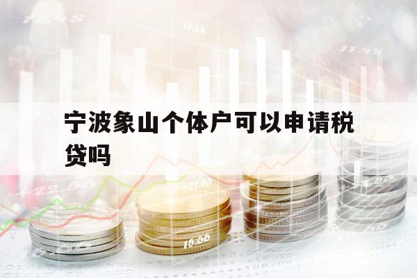 宁波象山个体户可以申请税贷吗