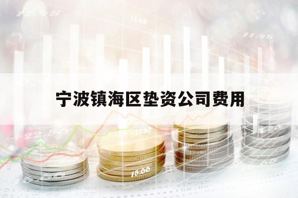 宁波镇海区垫资公司费用