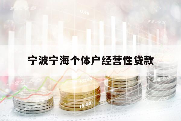 宁波宁海个体户经营性贷款