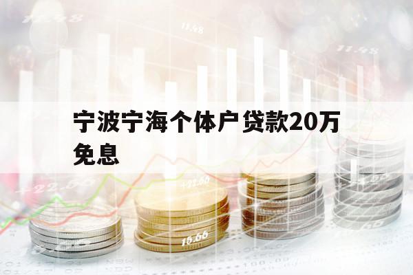 宁波宁海个体户贷款20万免息