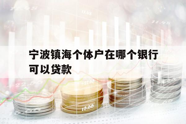 宁波镇海个体户在哪个银行可以贷款