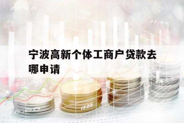 宁波高新个体工商户贷款去哪申请