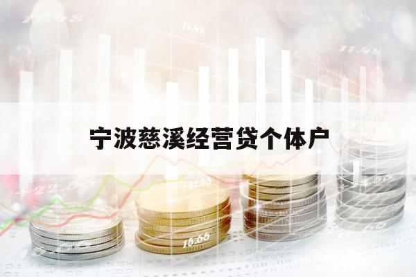 宁波慈溪经营贷个体户