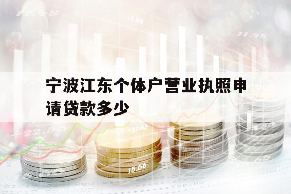 宁波江东个体户营业执照申请贷款多少