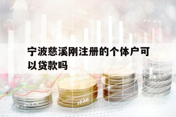 宁波慈溪刚注册的个体户可以贷款吗