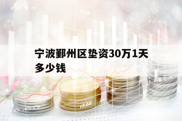 宁波鄞州区垫资30万1天多少钱