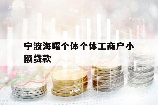 宁波海曙个体个体工商户小额贷款