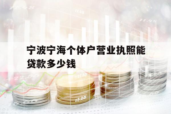 宁波宁海个体户营业执照能贷款多少钱