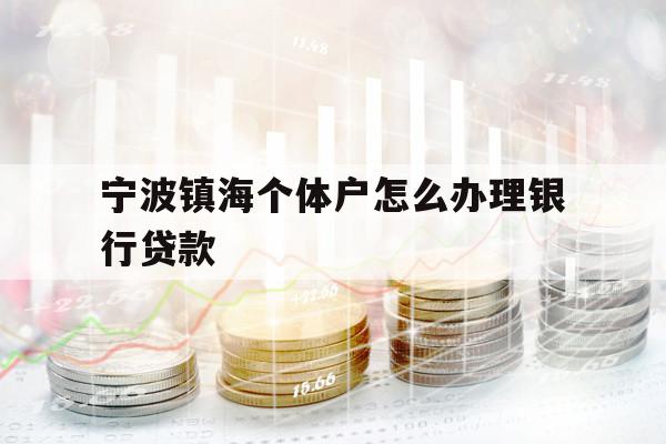 宁波镇海个体户怎么办理银行贷款
