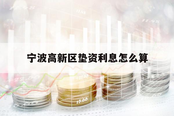 宁波高新区垫资利息怎么算
