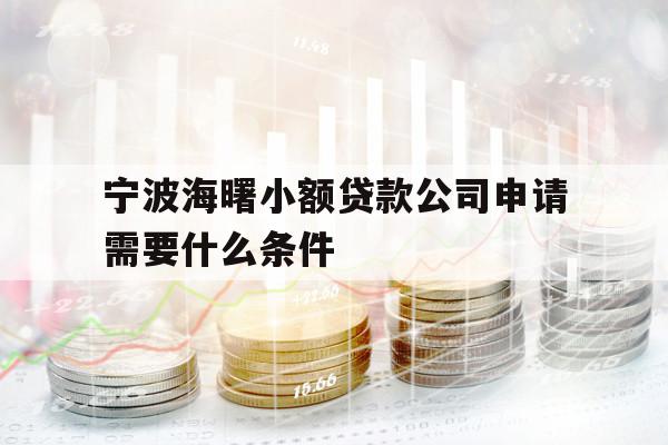 宁波海曙小额贷款公司申请需要什么条件