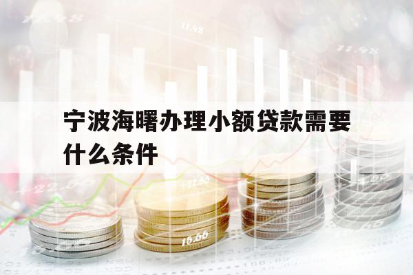 宁波海曙办理小额贷款需要什么条件 宁波海曙办理小额贷款需要什么条件