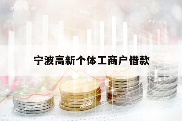 宁波高新个体工商户借款