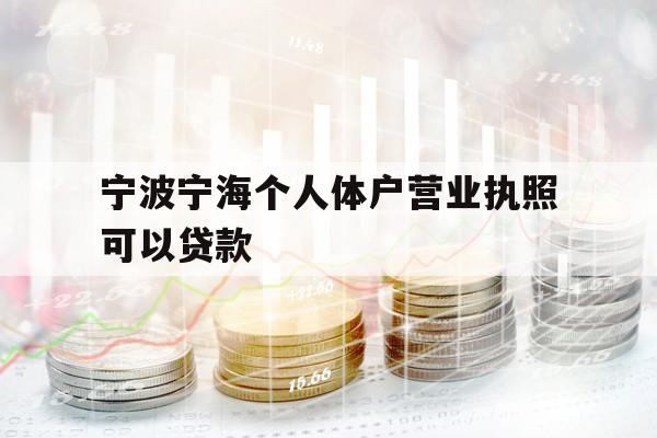 宁波宁海个人体户营业执照可以贷款