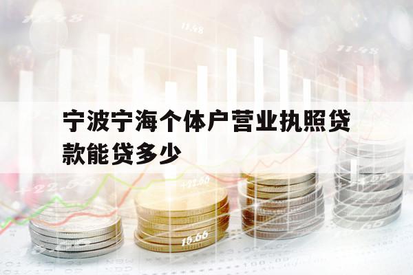 宁波宁海个体户营业执照贷款能贷多少