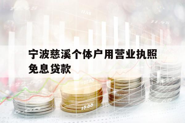 宁波慈溪个体户用营业执照免息贷款