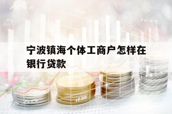 宁波镇海个体工商户怎样在银行贷款