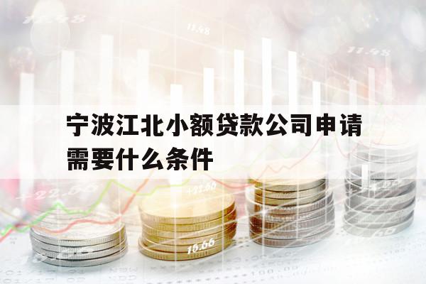 宁波江北小额贷款公司申请需要什么条件
