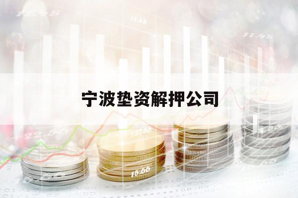 宁波垫资解押公司